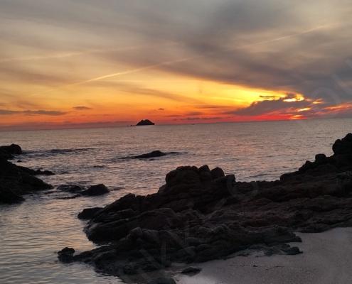 IMG_20221112_071236_HDR