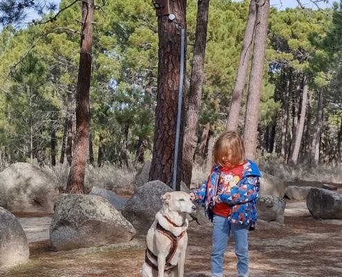 IMG_20221112_114623_HDR (2)