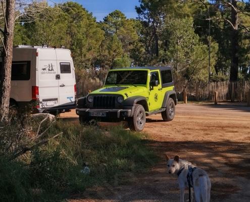 IMG_20221114_120702_HDR -Pipa staunt wenn Geld und scvhlechter Geschmack sich treffen