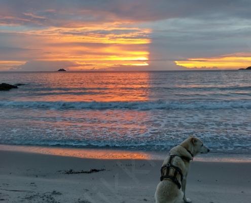 IMG_20221115_070941_HDR