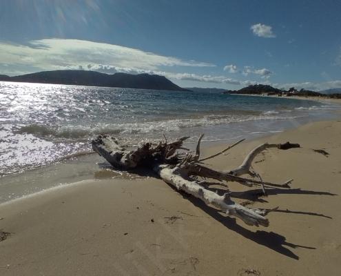 IMG_20221117_120756_HDR