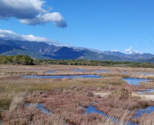 IMG_20221117_125820_HDR