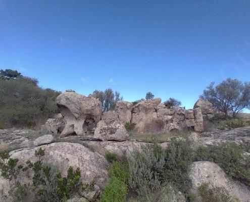 IMG_20221117_131810_HDR