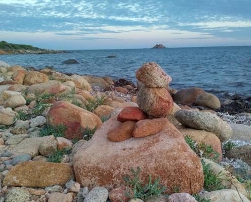 IMG_20221117_170009_HDR