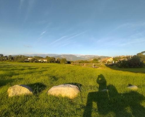 IMG_20221121_080442_HDR