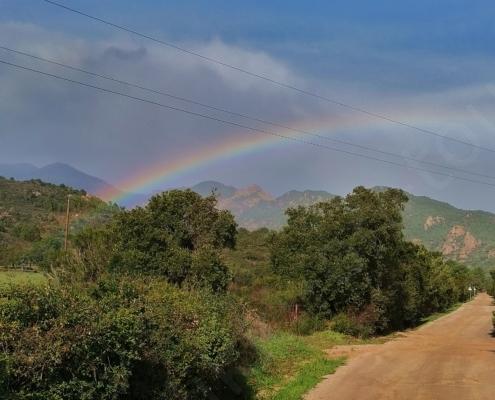 IMG_20221122_115751_HDR