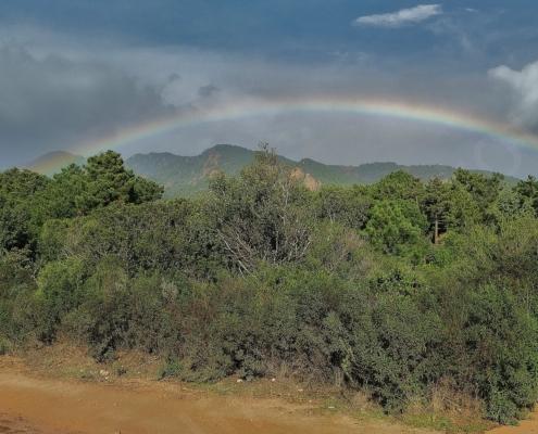 IMG_20221122_120518_HDR