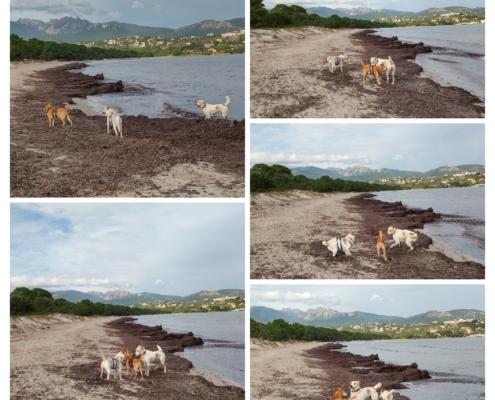 20221129_101351-COLLAGE