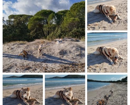 20221207_194432-COLLAGE