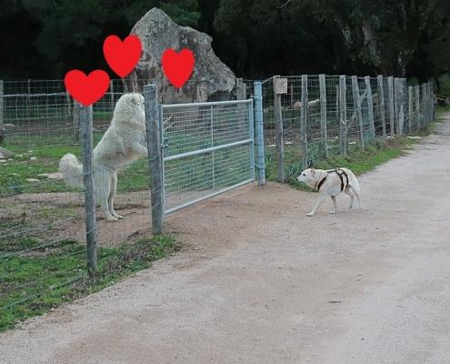 D32P9076 - Kopie (2)