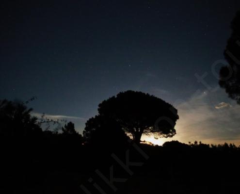 D32P9425 - Kopie - Kopie