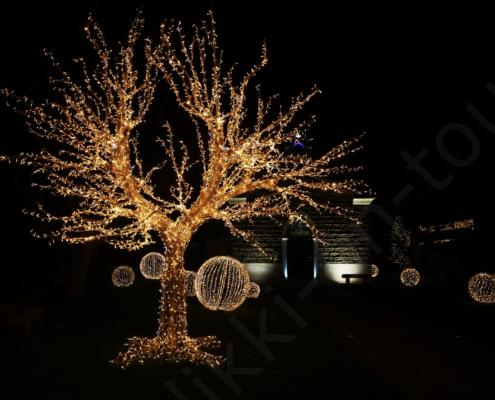 D32P9714 - Kopie - Kopie