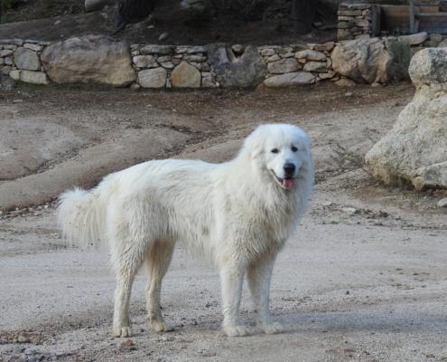 DSCN0705 (2) - Kopie