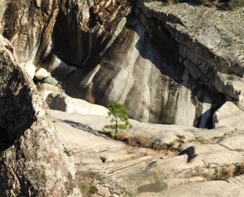 DSCN0708 (2) - Kopie