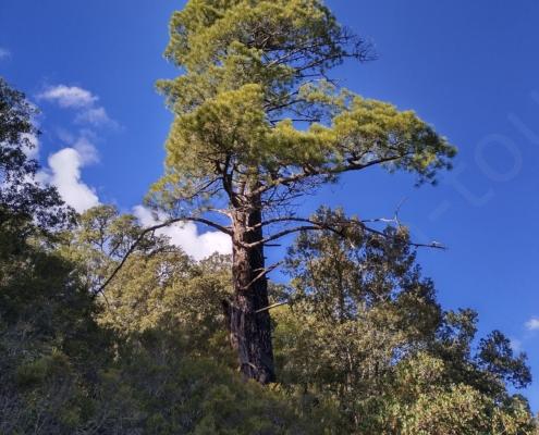 IMG_20221126_120301_HDR