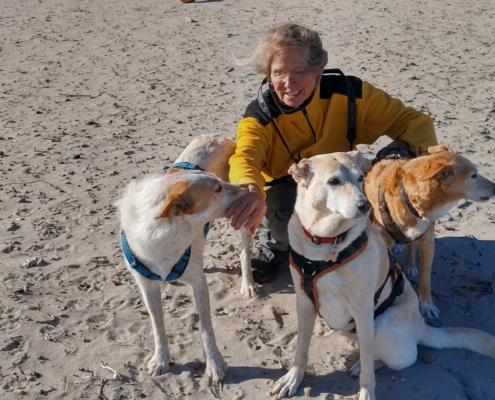 IMG_20221127_125252_HDR