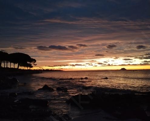 IMG_20221128_065345_HDR