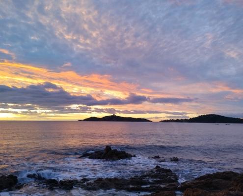 IMG_20221128_072001_HDR