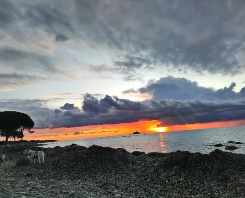 IMG_20221129_073356_HDR