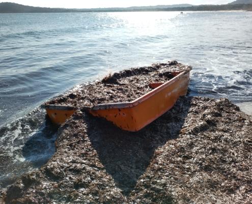 IMG_20221130_123938_HDR