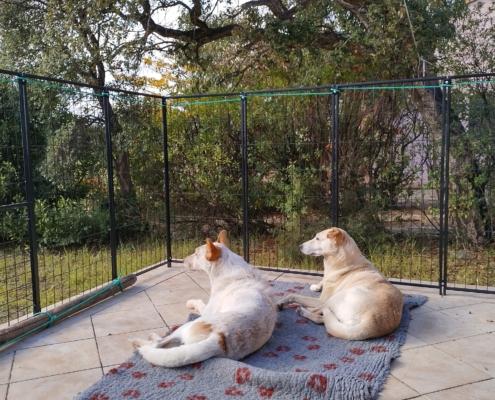 IMG_20221202_111018_HDR