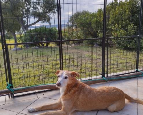 IMG_20221202_111022_HDR