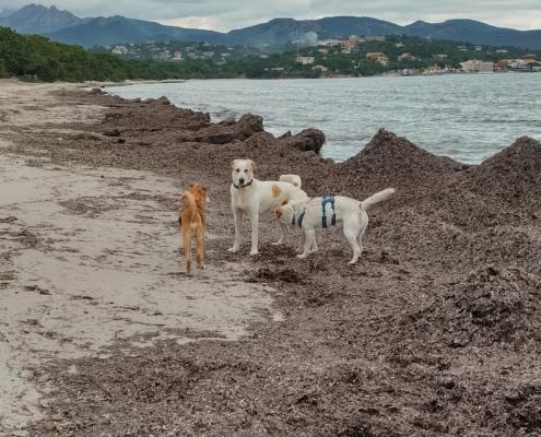 IMG_20221202_123115_HDR