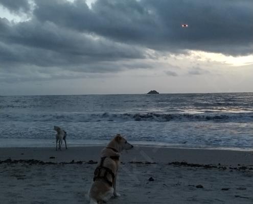 IMG_20221203_070921_HDR - Kopie