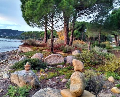 IMG_20221205_074528_HDR