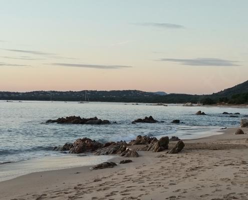 IMG_20221206_073513_HDR