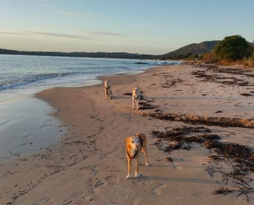 IMG_20221206_075301_HDR