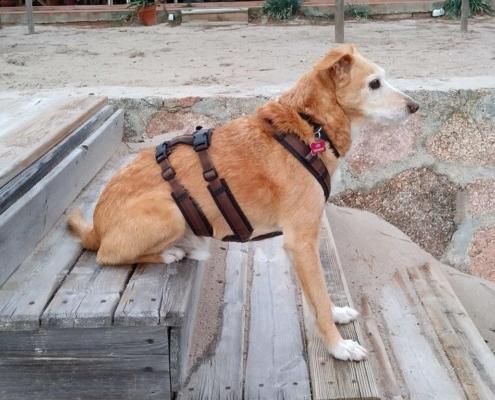 IMG_20221208_073112_HDR