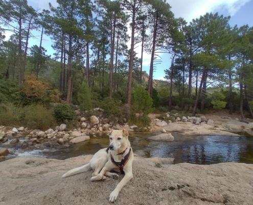 IMG_20221209_120521_HDR