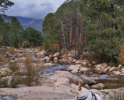 IMG_20221209_120942_HDR - Kopie