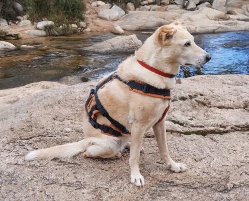 IMG_20221209_121211_HDR - Kopie