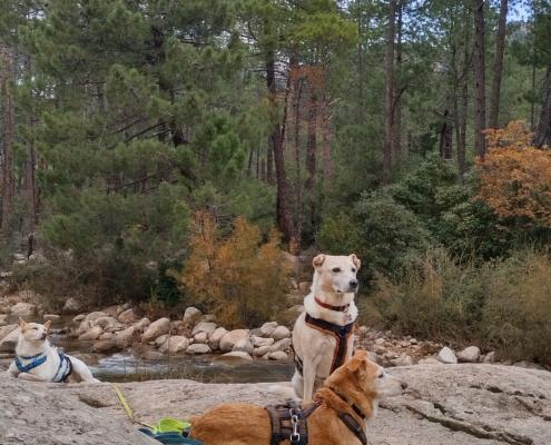 IMG_20221209_121310_HDR