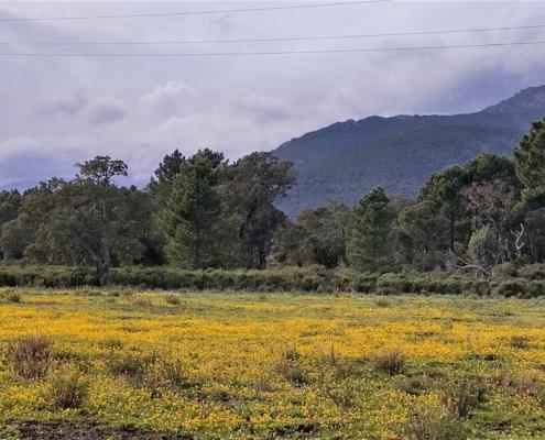 IMG_20221209_125515_HDR