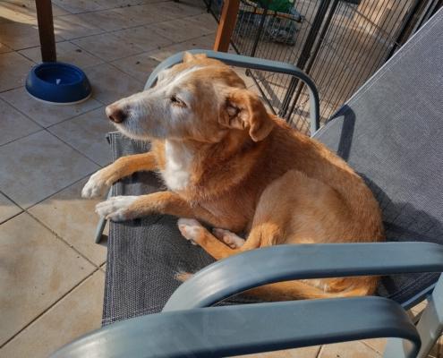 IMG_20221209_142546_HDR