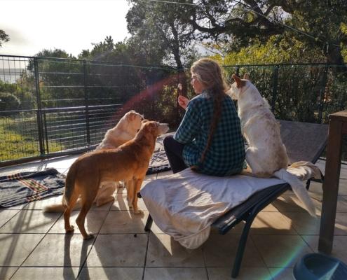 IMG_20221209_142959_HDR