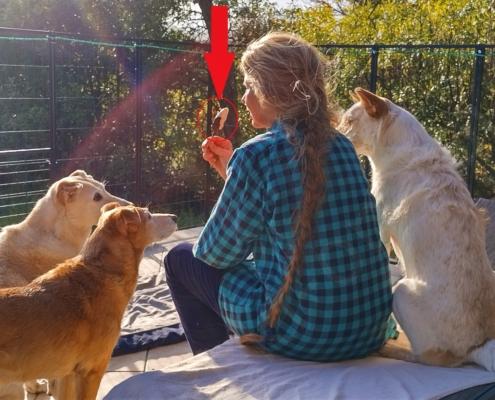 IMG_20221209_143005_HDR - Kopie - Kopie