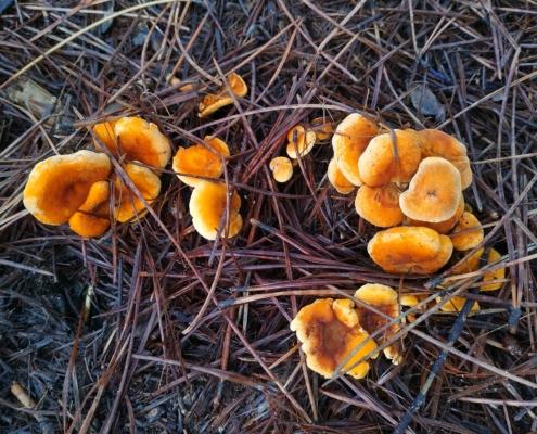 IMG_20221210_123837_HDR