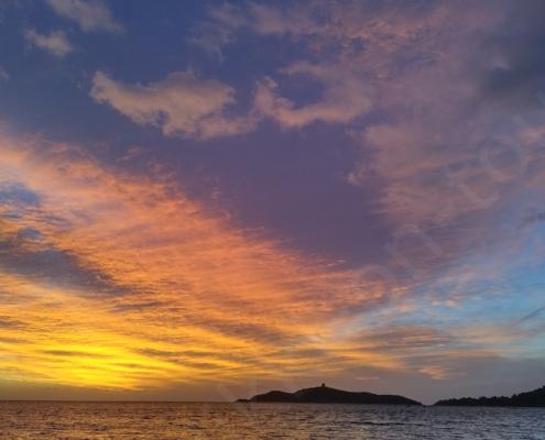 IMG_20221211_072603_HDR