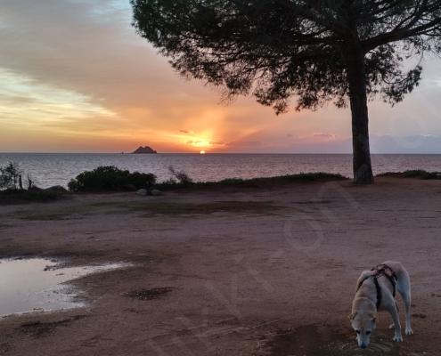 IMG_20221211_074020_HDR