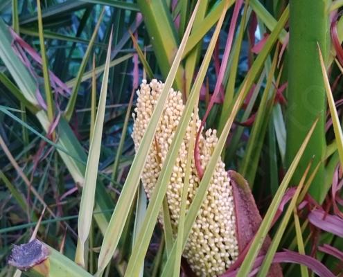 IMG_20221211_074547_HDR