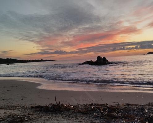 IMG_20221212_072705_HDR