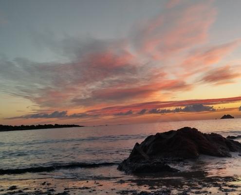 IMG_20221212_072955_HDR