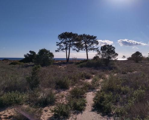 IMG_20221212_114441_HDR