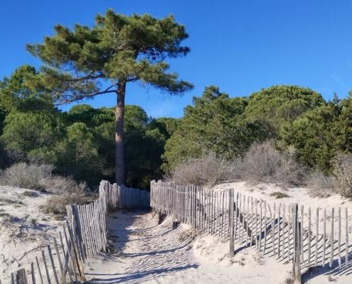 IMG_20221212_122405_HDR