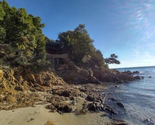 IMG_20221212_130042_HDR~2