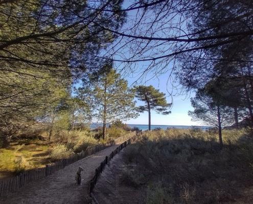 IMG_20221212_130619_HDR~2